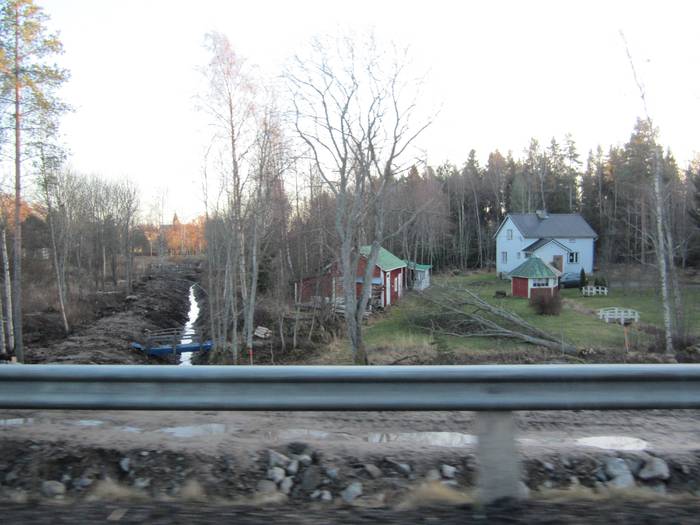 Puu kaatunut.